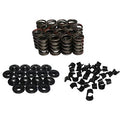 VALVE SPRING KIT