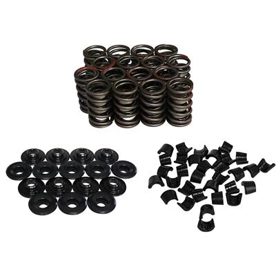 VALVE SPRING KIT