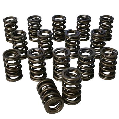 VALVE SPRINGS