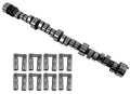 CAM AND LIFTER KIT