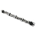 CAMSHAFT/LIFTER KIT