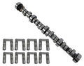 CAMSHAFT & LIFTER KIT