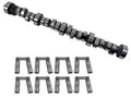 CAMSHAFT & LIFTER KIT
