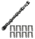 CAM AND LIFTER KIT