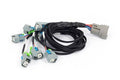 NEXUS REBEL LS - LS EV6 INJECT