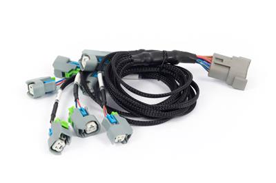 NEXUS REBEL LS - LS EV6 INJECT