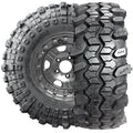 ^^SUPER SWAMPER TSL SX2