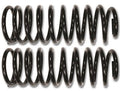 FJ/T4R/GX REAR COILS