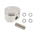 SINGLE PISTON