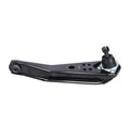 CTRL ARM AND BALL JOINT ASSY