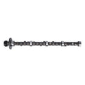 CAMSHAFT STOCK REPL CADILLAC