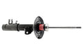 SHOCKS AND STRUTS