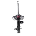 GAS STRUT