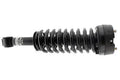 SHOCKS AND STRUTS
