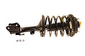 STRUT ASSEMBLY
