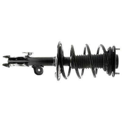 SHOCK AND STRUT ASSEMBLY