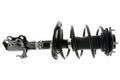 SHOCK AND STRUT ASSEMBLY