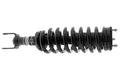 SHOCKS AND STRUTS