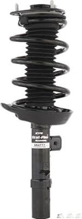 SHOCK / STRUT
