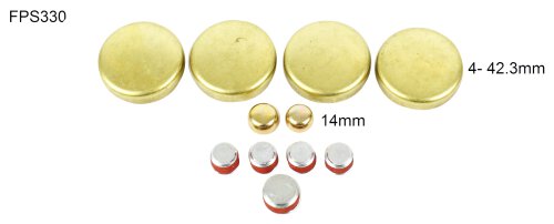 Expansion Plug Kit 1998-2003 Chevrolet,GMC,Isuzu,Pontiac 2.2L