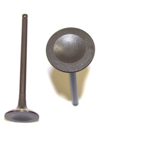 Exhaust Valve 2004 Isuzu 3.5L
