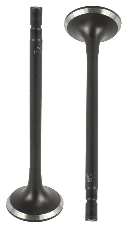Exhaust Valve 2013-2020 INFINITI,Nissan 2.5L
