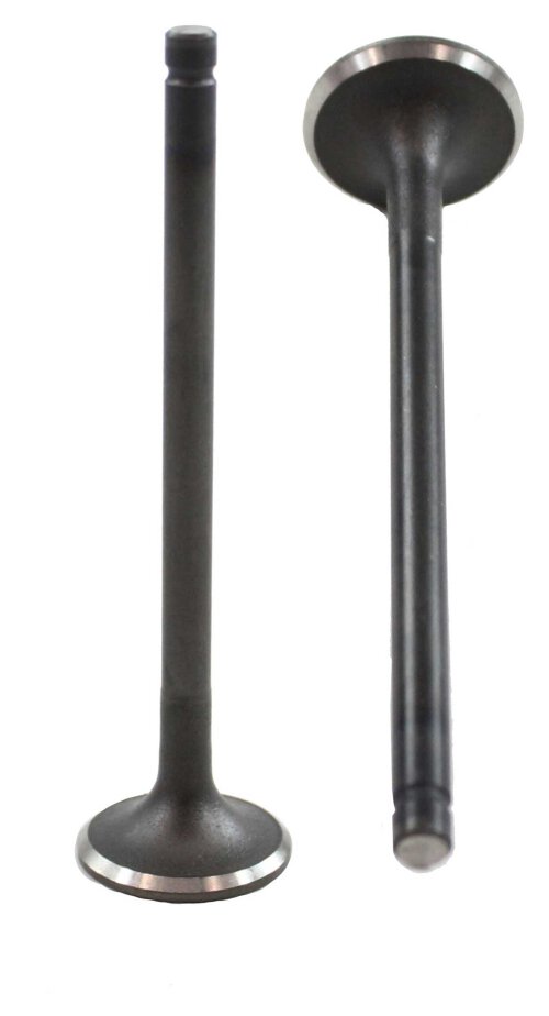 Exhaust Valve 1995-1998 Mazda 1.5L