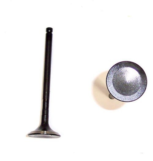 Exhaust Valve 1992-2004 Lexus,Toyota 3.0L-3.4L