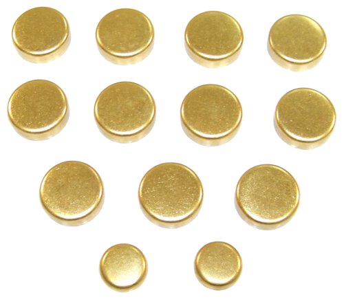 Expansion Plug Kit 1992-2005 Lexus,Toyota 3.0L