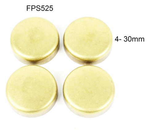Expansion Plug Kit 1989-1995 Geo 1.6L