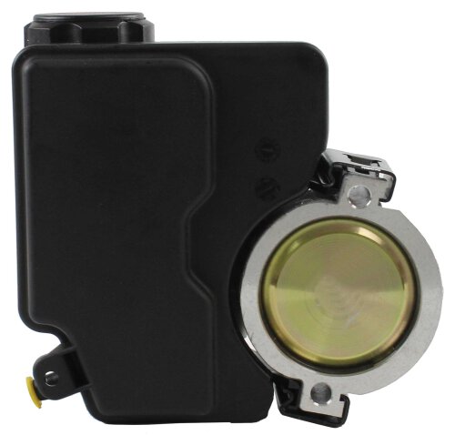 Power Steering Pump 1991-1995 Buick,Oldsmobile,Pontiac 3.8L