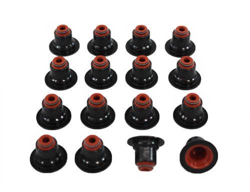 Valve Stem Oil Seal Set 2011-2019 Ford 1.5L-1.6L