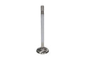 EXHAUST VALVE SET