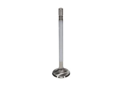 EXHAUST VALVE SET