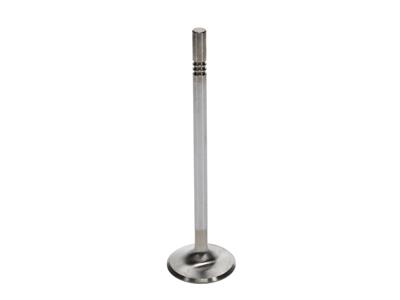 INTAKE VALVE SET