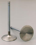 VALVE- EXHAUST