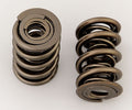 VALVE SPRINGS