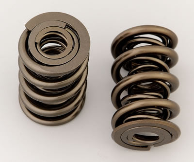 VALVE SPRINGS