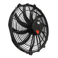 FAN CHAMPION SERIES