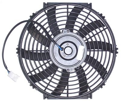 FAN CHALLENGER SERIES