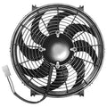 FAN CHALLENGER SERIES