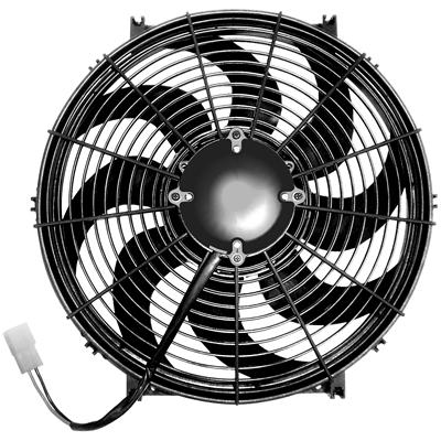 FAN CHALLENGER SERIES