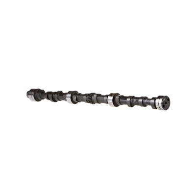 CAMSHAFT SOLID FLAT TPPT CHEVY