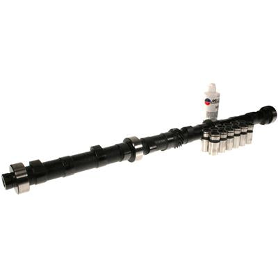 CAM AND LIFTER KIT