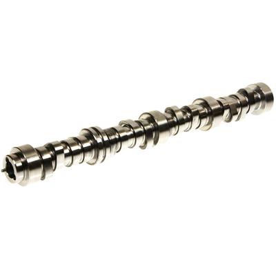 CAMSHAFT HYD ROLLER 6.0L LS