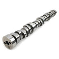 CAMSHAFT HYD ROLLER SB REPL