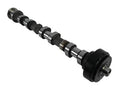 EXHAUST RIGHT CAMSHAFT