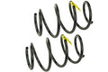COIL SPRING SET