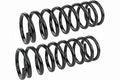 COIL SPRING SET