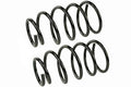 COIL SPRING SET